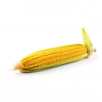 Sweet Corn