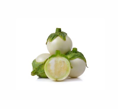 มะเขือขาว