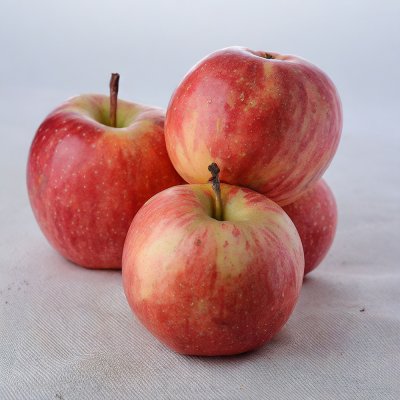 Gala Apples from Turkey