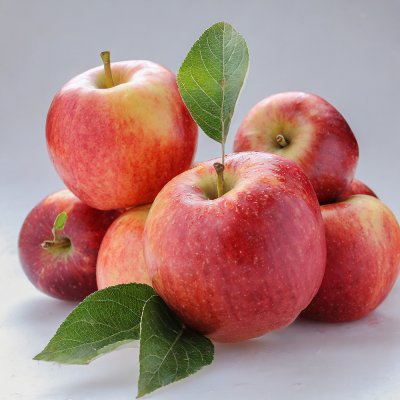 Gala Apples from Turkey