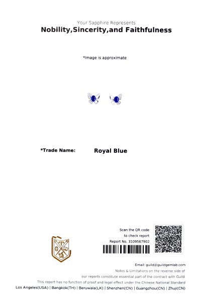Blue Sapphire Earring