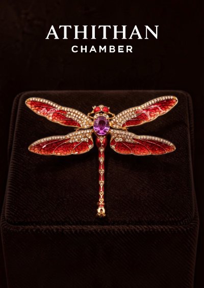 DRAGONFLY Brooch