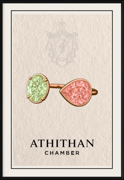 A PERFECT MATCH RING