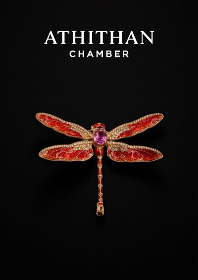 Pink Sapphire Dragonfly Brooch