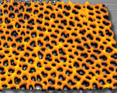 Nano-Observer XL (AFM)