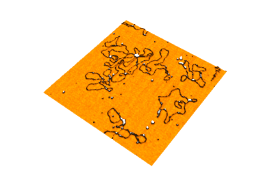 Nano-Observer AFM Best Cost-Effective Solution.