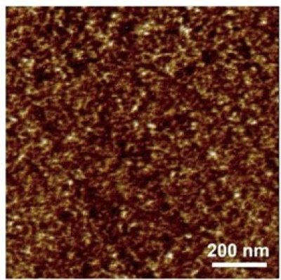 HYBRID NANOPROFILER (AFX-1000-3D)