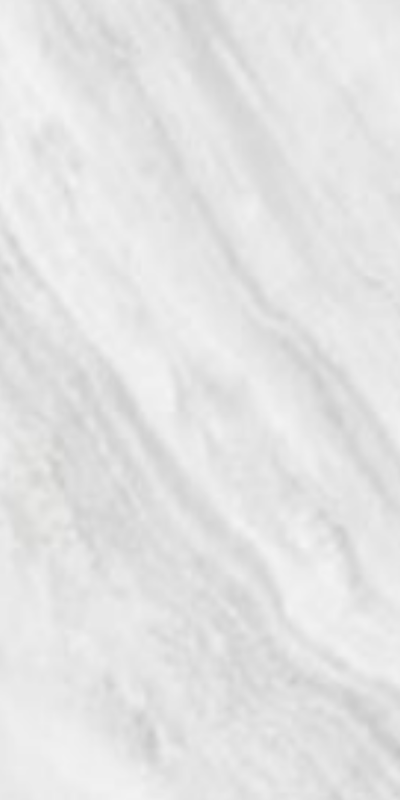 กระเบื้อง 60x120 NEXUS BIANCO (CARVING)