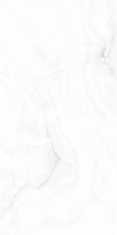 กระเบื้อง 60x120 ONIX BIANCO  ( GLOSSY )