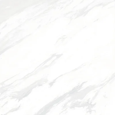 กระเบื้อง 60x60 SILVER TRACE (GLOSSY)