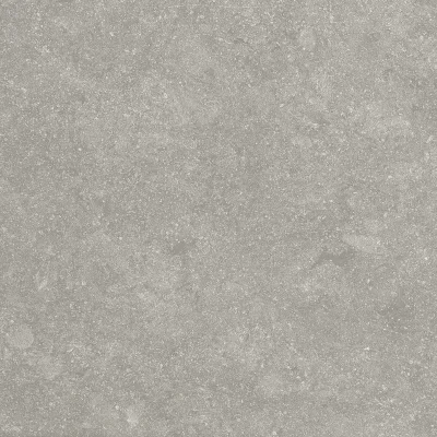 กระเบื้อง 60x60 RAPIDO GRIS (MATT)