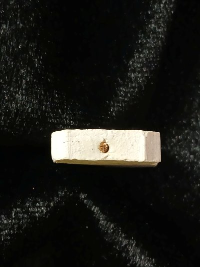 ไม่ทราบที่