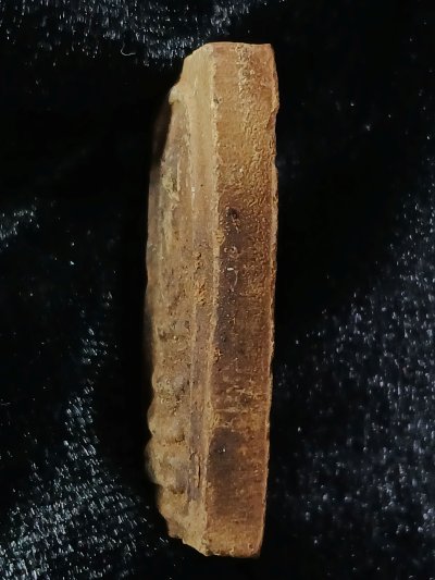 ไม่ทราบที่