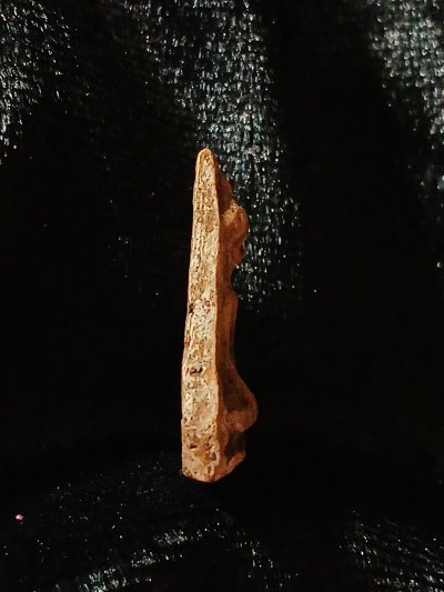 นางพญากำแพงเพชร