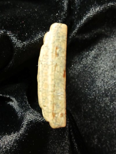 สมเด็จไกเซอร์