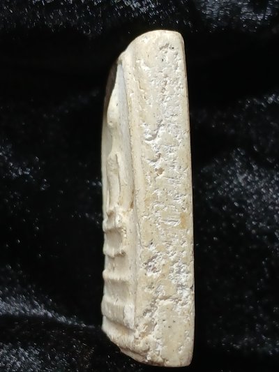 สมเด็จวัดระฆัง