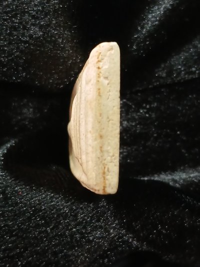 สมเด็จวัดระฆัง