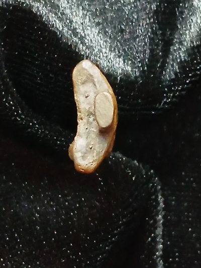 พระยอดธง (ไม่ทราบที่)