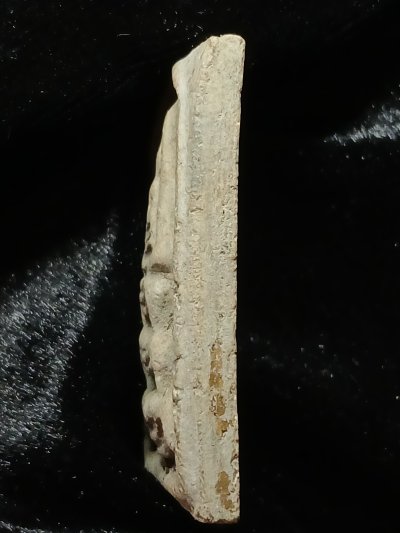 หลวงปู่นาค