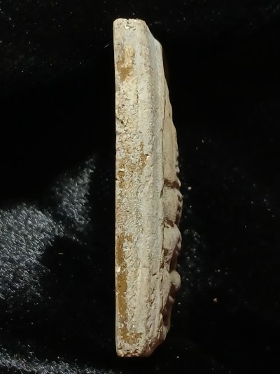 หลวงปู่นาค