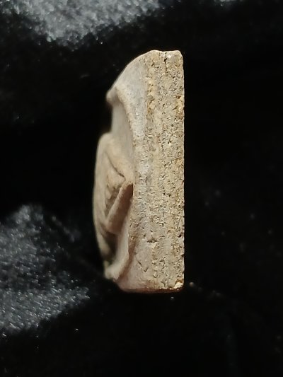 หลวงปู่นาค