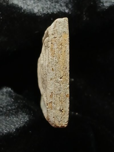 หลวงปู่นาค