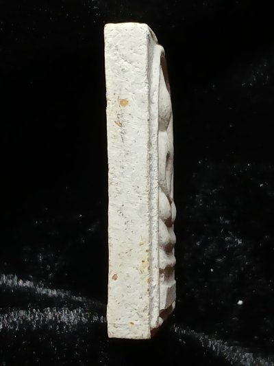 วัดป่ามะไฟ