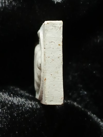 วัดป่ามะไฟ