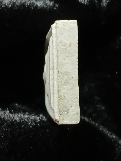 วัดป่ามะไฟ