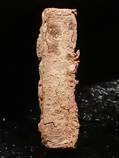 หลวงปู่ศุข