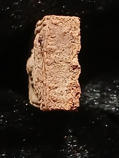 หลวงปู่ศุข