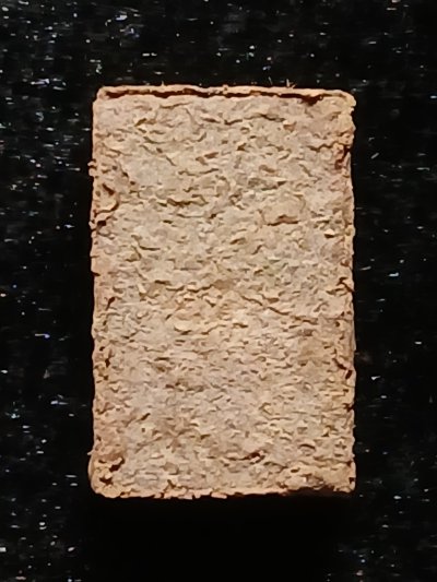 หลวงปู่ศุข