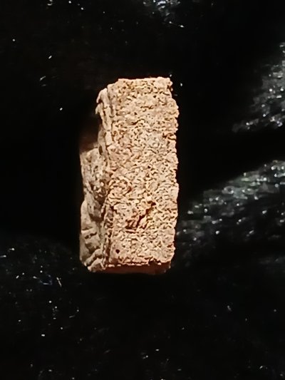 หลวงปู่ศุข