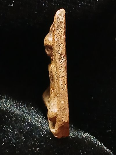 นางพญา กำแพงเพชร