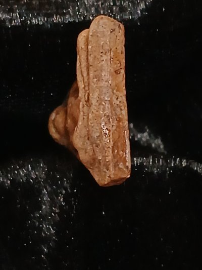 นางพญา กำแพงเพชร