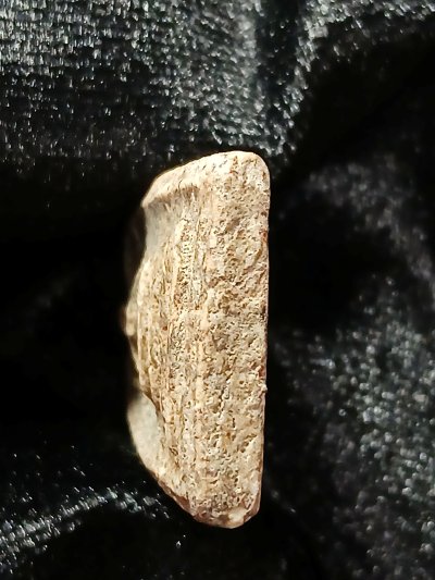 สมเด็จบางขุนพรหม