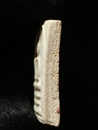 หลวงปู่เจ๊ก วัดศาลารี