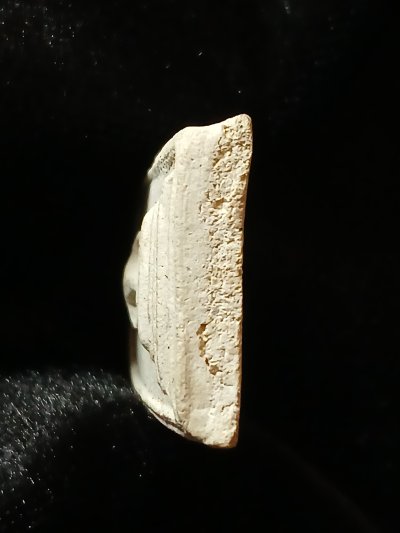 หลวงปู่เจ๊ก วัดศาลารี