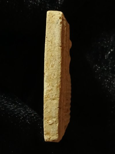 หลวงพ่อเถาว์ วัดสลักใต้