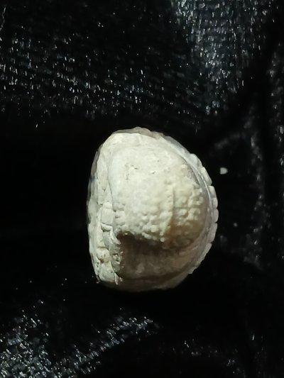 พระปิดตา หลวงพ่อสุด