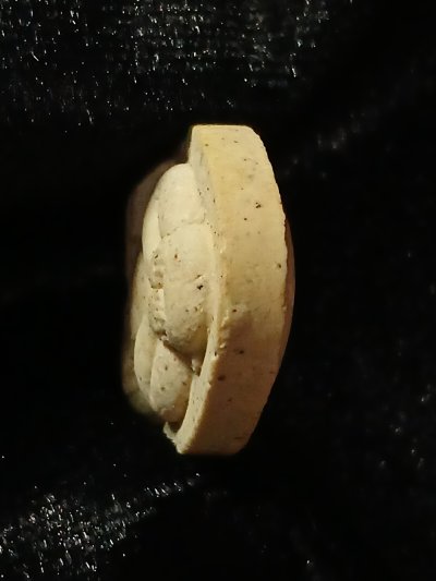 สมเด็จพระญาณสังวรฯ