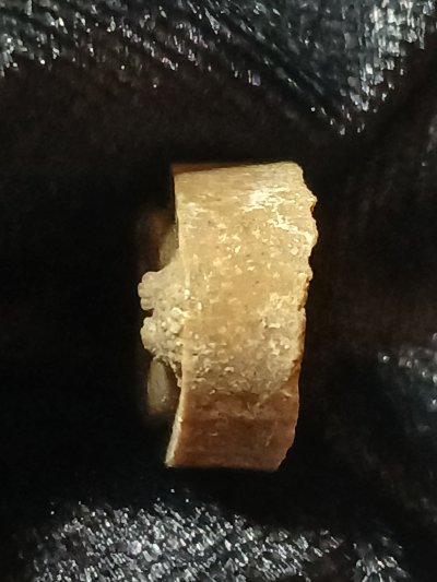 วัดพลับพลา