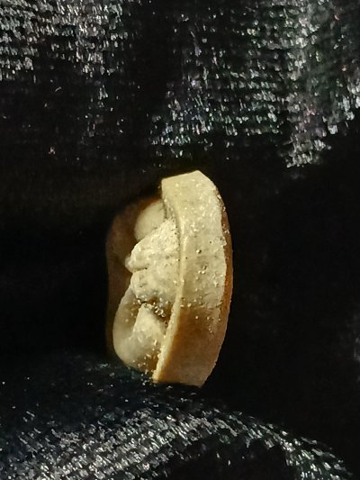 วัดบางไผ่