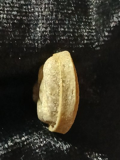 วัดบางไผ่