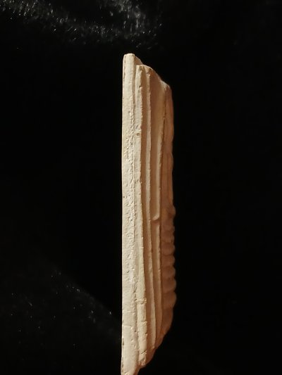 สมเด็จโตฯ