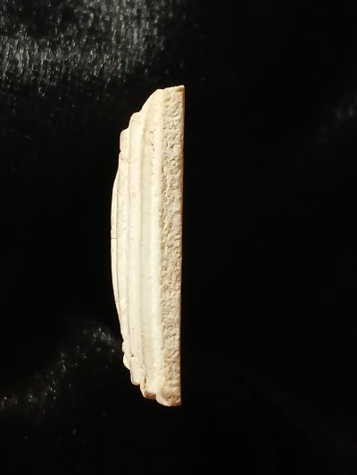 สมเด็จโตฯ