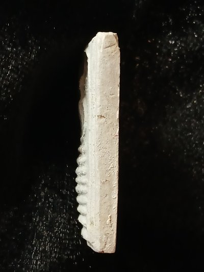 สมเด็จโตฯ