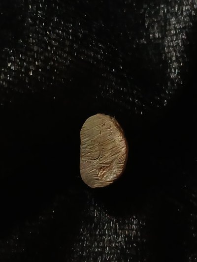 วัดสุทัศ