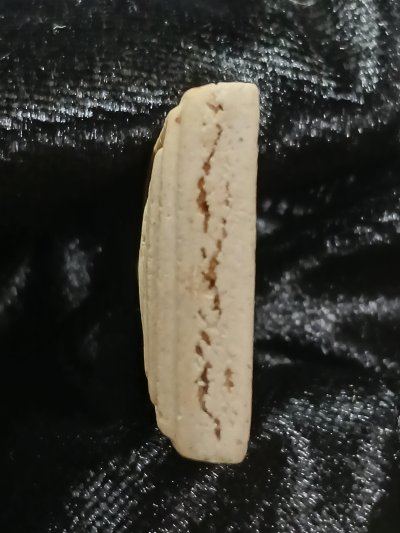 วัดระฆัง