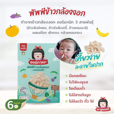 Organeh ออร์กาเนะ มินิแครกเกอร์และพัฟข้าวกล้องงอก จากข้าวสังข์หยดออร์กานิก Organeh ออร์กาเนะ มินิแครกเกอร์และพัฟข้าวกล้องงอก จากข้าวสังข์หยดออร์กานิก